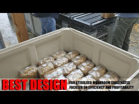 Best Mushroom Substrate Sterilizer Based On Cost, Profitability, And Farm Efficiency: DIY Steam Tank