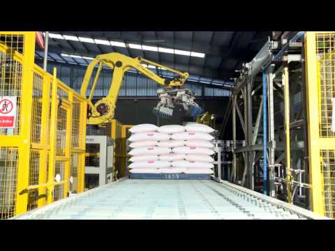 Complete packaging line - Bagging machines &amp; Robotic Palletizers