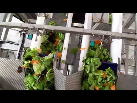 Actionpac Linear Netweight System | Automatic Packaging Line for salads into VFS bagger machine