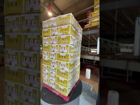 PROPAK INDUSTRIES MAS500 FULLY AUTO PALLET WRAPPER USING THE LATEST ROPING WRAPPING