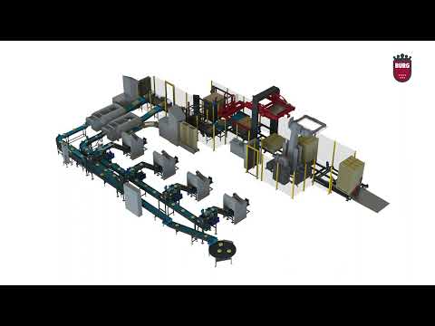 Burg Machinery - Automation onion packing line