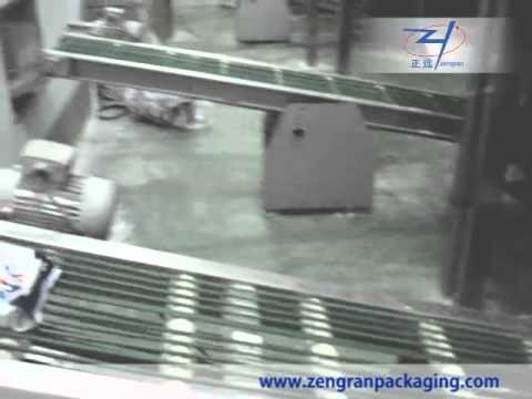 Automatic Packing Line—AnHui ZengRan