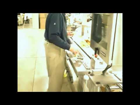 Autobag FAS SPrint Revolution SidePouch Bagging System Bagging Bakery Goods | ProPac.com