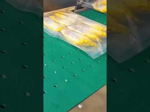 Automatic Bagging Machine