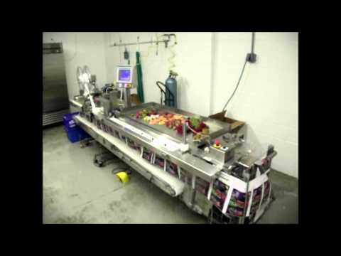 Automated Packaging Systems - Autobag FAS SPrint Revolution SidePouch Food Bagger