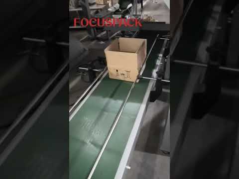 Full Automatic Packaging Line/15kg Hardware Packing into Cartons