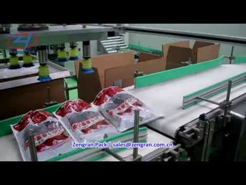 Automatic Rotary Packing, Cartoning &amp; Palletizing Line for Dates - Zengran Pack