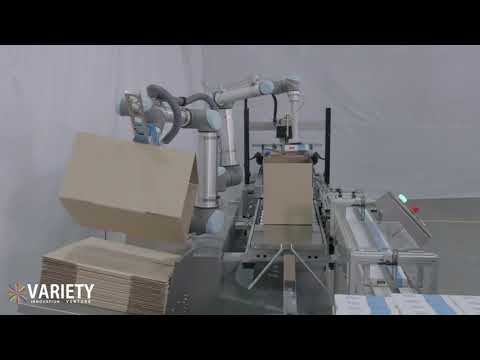 Robotic Case Erector Case Filling End of Line Palletizing Palletizer