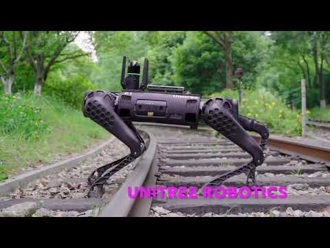 Waterproof Industrial Robot Dog B1 from Unitree Robotics