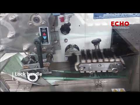 ECHO machinery Automatic bread Horizontal Pillow Flow Type Wrapping Packing Machine DXD-300