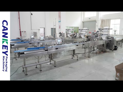 Instant Noodle Packing Machine-Fully Automatic Packing Line