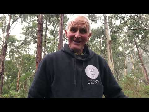 Gold Detecting Victoria and sharing our Gold Rush History | Minelab GPX5000