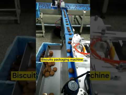 Biscuits full automatic feeding packing Machine solutions