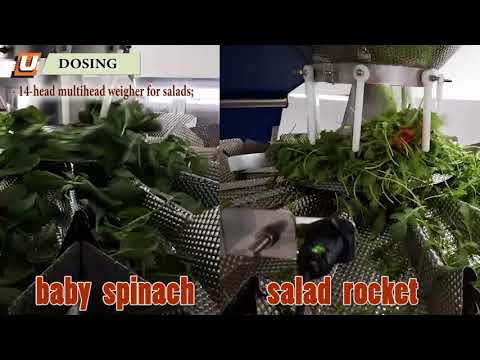 Automatic Packaging Line for Salad Rocket and Baby Spinach