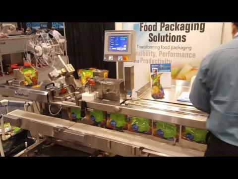 Automated Packaging Systems FAS SPrint machine