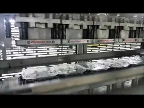 Blueberries Packing Line - Packaging Automation Revolution XL High Speed Tray Sealing Machine