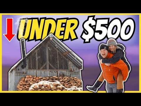 Neighbors Laughed At This $500 Off Grid Cabin Anyone Can Build But Were Amazed! (Start to Finish)