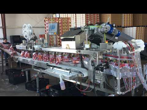 Auto Bagger Side Pouch -Fruit with Sorma Counter