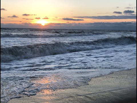 Beach Metal Detecting - Friday June 16