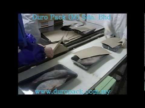 Horizontal Shrink wrapping machine - Product : Fish