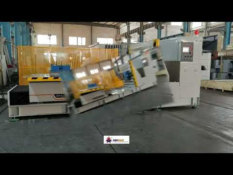 mold inspection machine 180 degree turning over