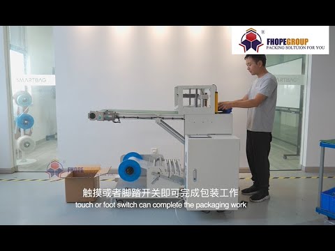 horizontal autobagger machine manufactuerer