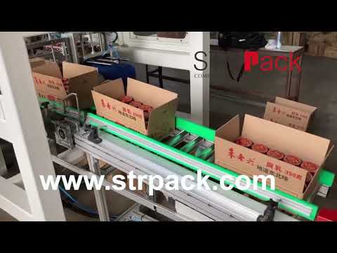 Can &amp; Bottle Robotic Bottle Case Packing and Palletizing System