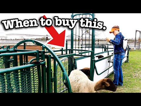 WHEN TO BUY A HANDLING SYSTEM FOR YOUR SHEEP FARM. | Lakeland Farm and Ranch SG200 Sheep and Goat