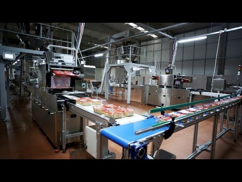 autoMAP200 MANTI HATTI - fully automatic ravioli packaging line