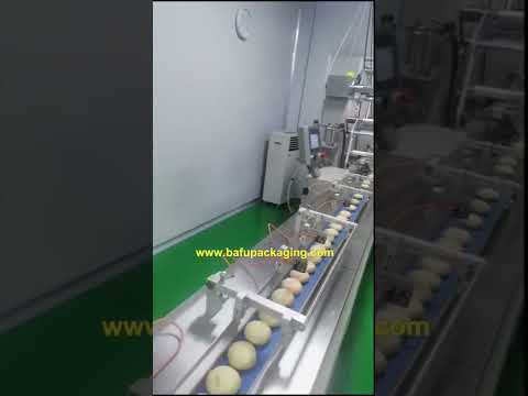 Automatic packaging machine,flow wrapper,horizontal packaging machine,pillow packaging machine