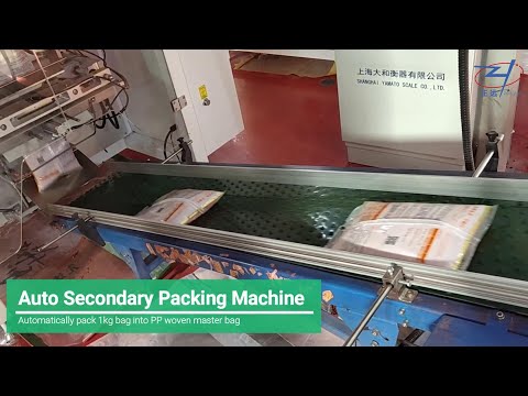 Auto Secondary Packing Machine for bag in bag packaging