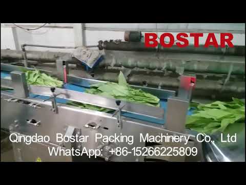 Automatic Leaf vegetables fruits Reciprocating packing machine Horizontal flow Wrapping Machine