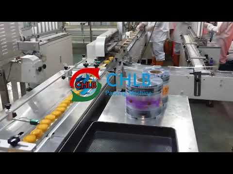 [CHLB machine]Full Automatic Feeding Sorting Packaging Line for Tray Pallet Product