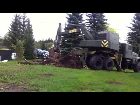 Baumfällung mit Kraz Autobagger am 12.05.2013 Teil 2