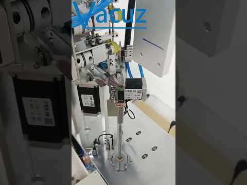 Vacuz Fully Automatic Differential Mode Toroidal Coil Inductor Needle Hook Winding Machine