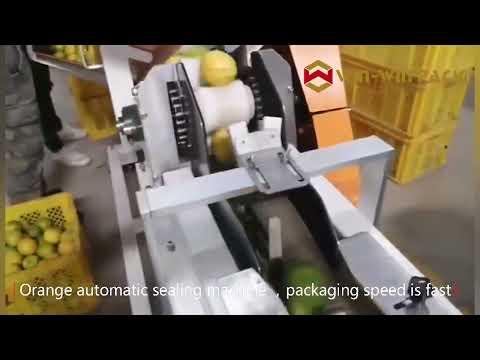 Cling Film Food Wrapping Machine Automatic Horizontal Fruits Vegetables Bag Flow Packing Machine