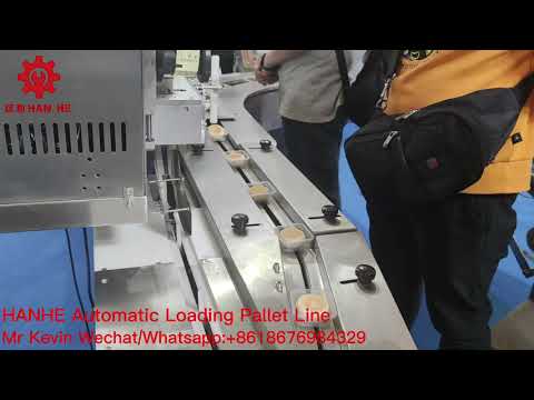 Automatic Loading Pallet Aad Packing Line