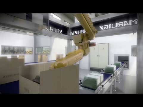 Automatic Packaging Line Simulation