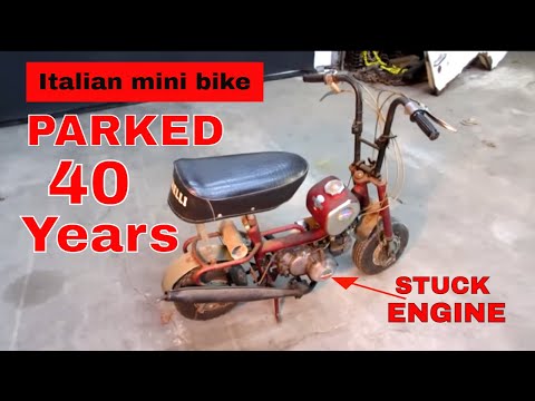 WILL IT RUN! Benelli Buzzer Mini Bike