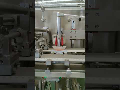 Acepack horizontal Packing machines-Sachet machines-Filling machines