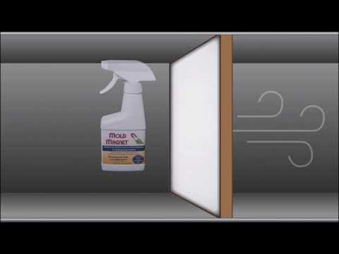 Mold Magnet Illustration Video