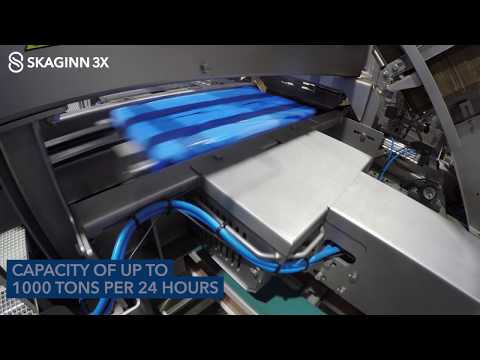 Skaginn 3X - Automatic Packing and Palletizing Solutions