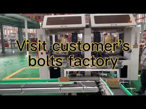 Full automatic bolts packing line--Focus Machinery