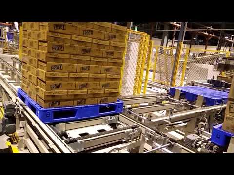 Case Palletizing System for Juice Box Carton