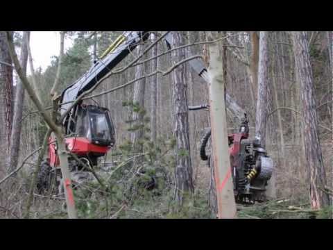 Big red Monster - Valmet 941 Harvester