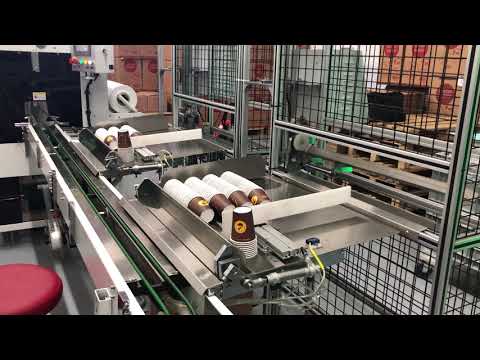 DEBAO-L666 Automatic paper cup packing machine in customer factory