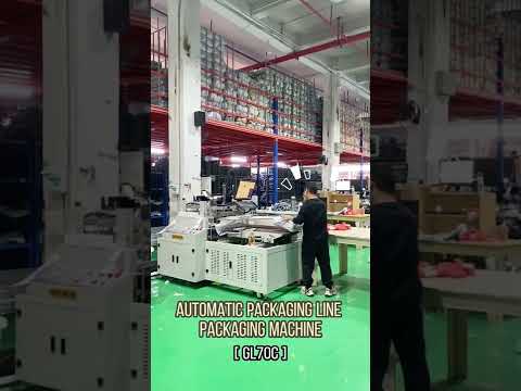 Automatic Packaging Line Packaging Machine