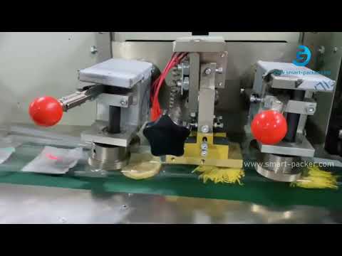 Lemon flow tea bag horizontal automatic bag film wrapping sealing packaging machine testing video