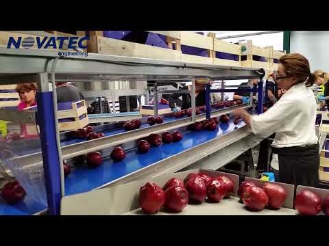 Novatec S.A. - Sorting, Grading &amp; Packing Line for Apples