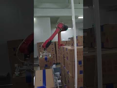 2110 robot snack packing box palletizing